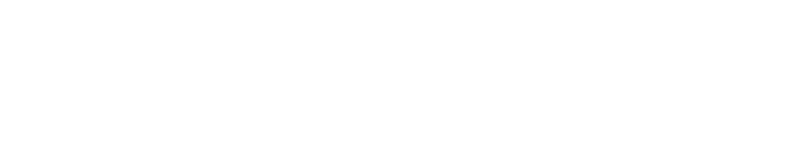 Logo_WUFFI_Wordmark_WhiteTM